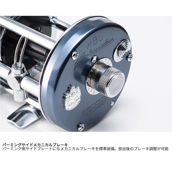 アンバサダー
